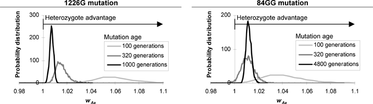 Heterozygote advantage