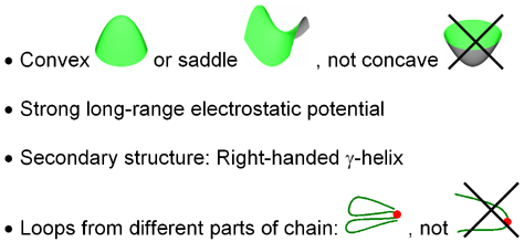 Characteristics of protein-protein interfaces