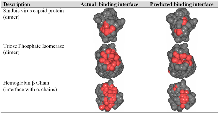 Predicted binding sites